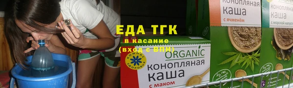 индика Бородино